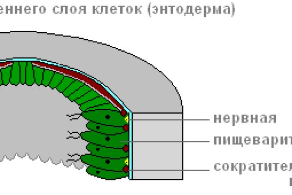 Удалился аккаунт кракен